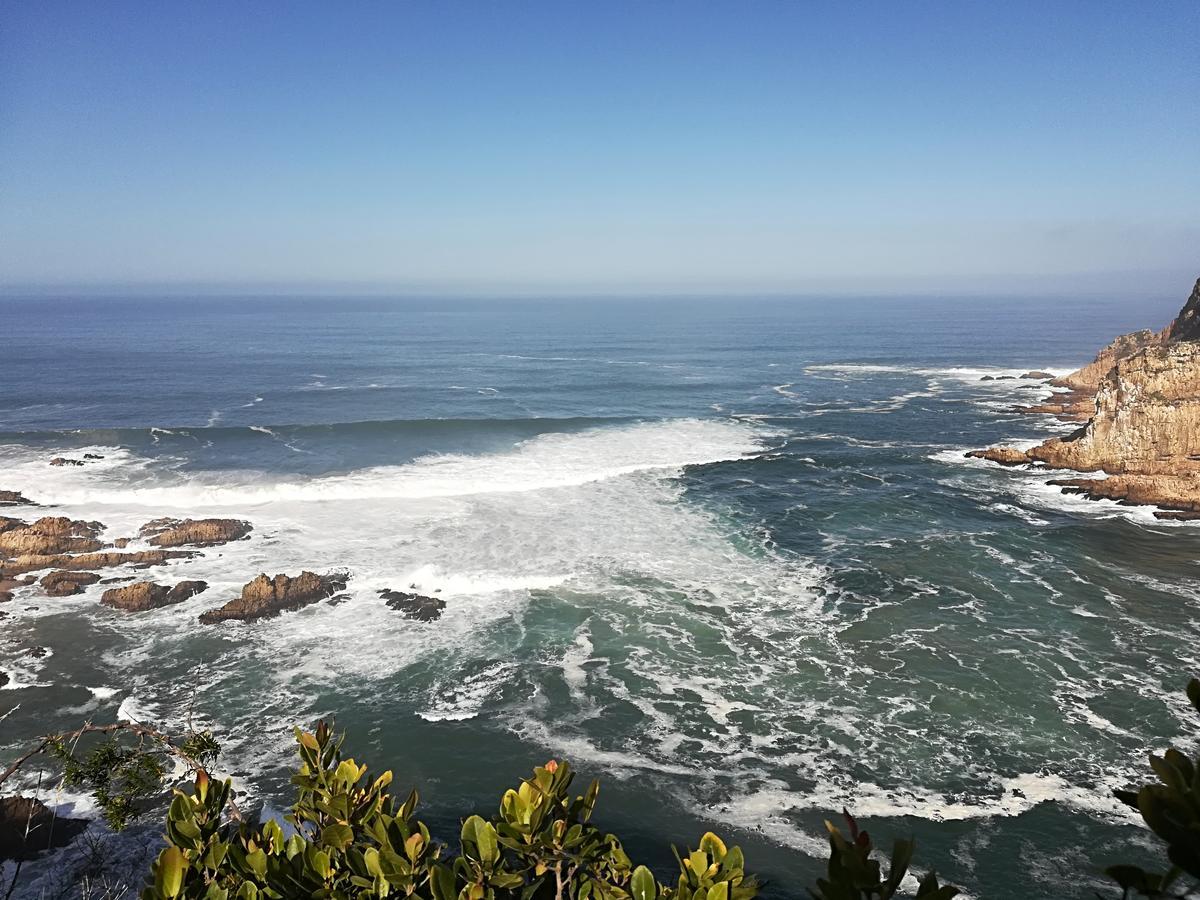 Knysna Herons Guest House Esterno foto