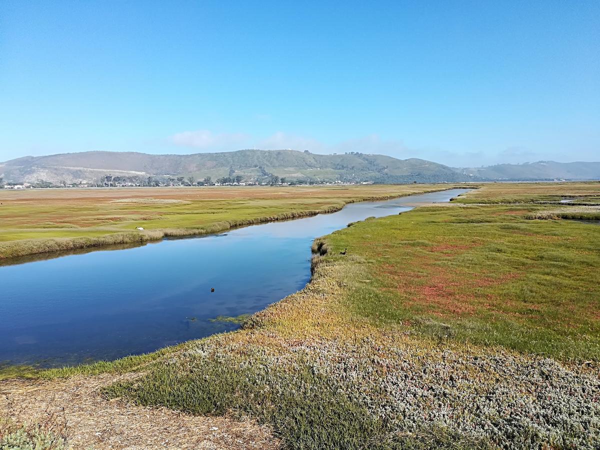 Knysna Herons Guest House Esterno foto