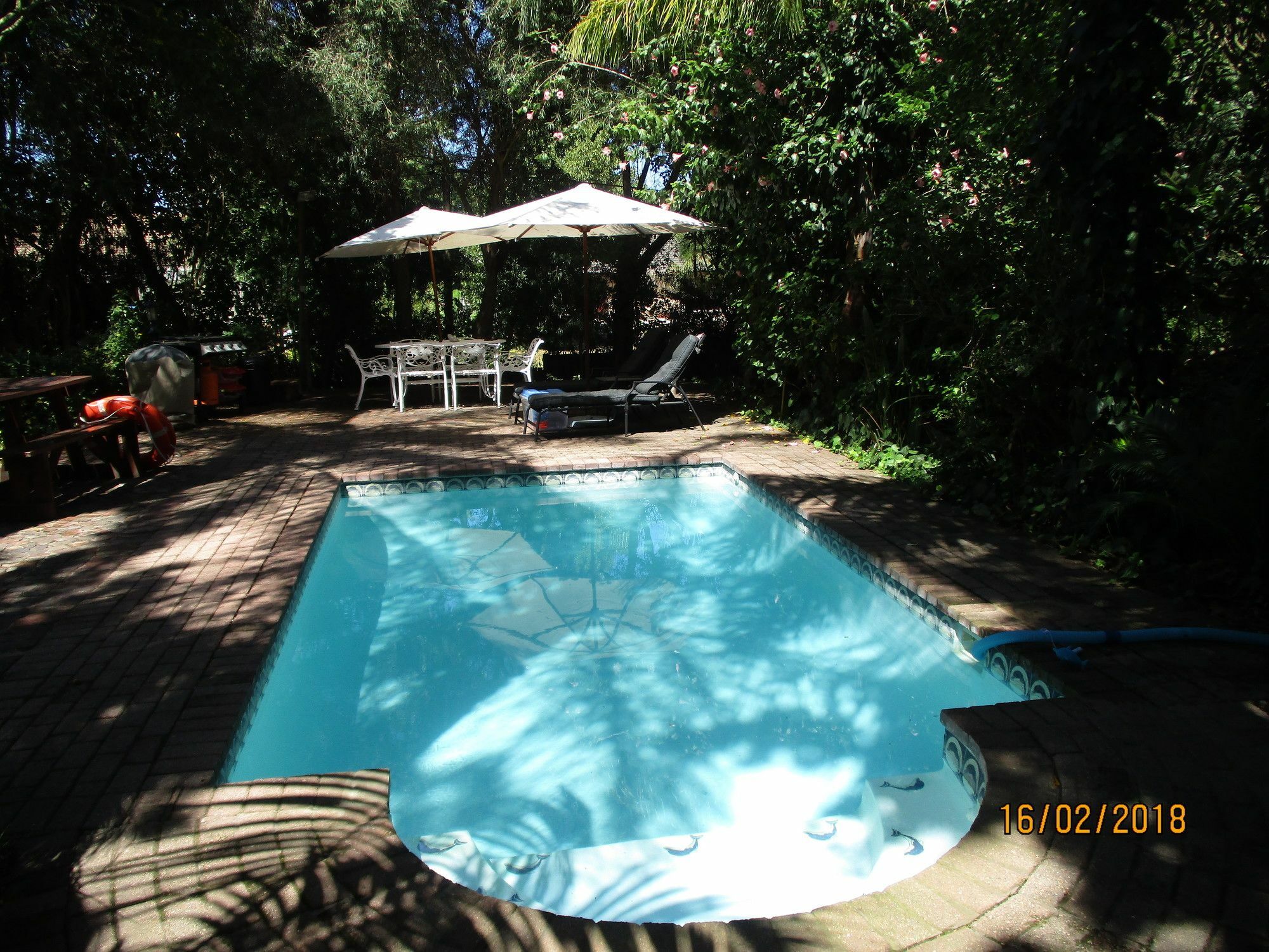 Knysna Herons Guest House Esterno foto